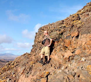 Auf der Suche nach dem Wolpertinger
