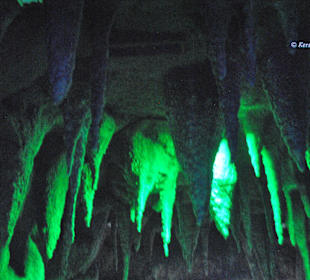 Aquarium-Tunnelgang 131m lang