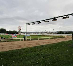Windhundrennen Tralee