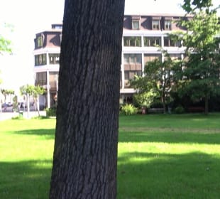 Stadtgarten Heidelberg