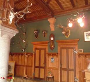 Zahlreiche Jadgtrophäen