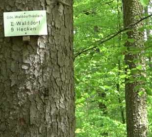 Wandertour Feuchtgebiet Schönbuch