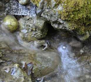 Kraby - trzeba sie przygladac wszystkiemu