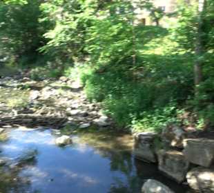 Kurpark Bad Niedernau