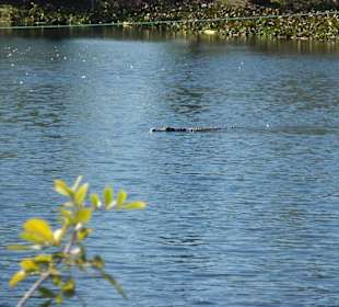 Everglades Safari Park