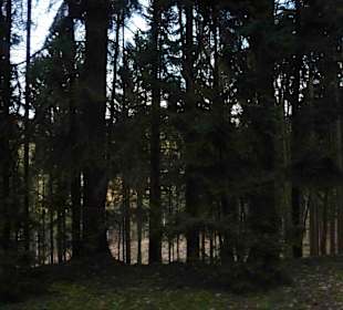 Wanderung zum Brocken