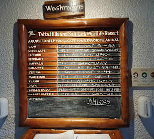 Taita Hills: wo und wann wurde welches Tier gesehe