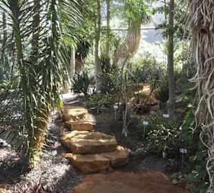 Botanischer Garten der Universität Zürich