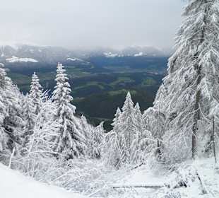 Wandern San Lorenzo di Sebato / Sankt Lorenzen
