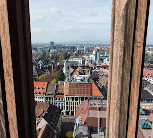 Ausflugsziel: Münster in Freiburg