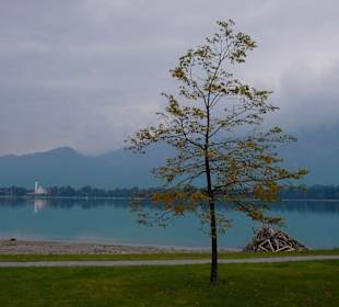 Festspielhaus Neuschwanstein