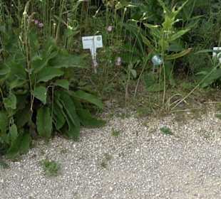 ALB-GOLD Naturgarten