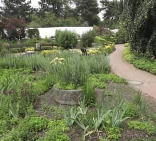 Bürgergarten