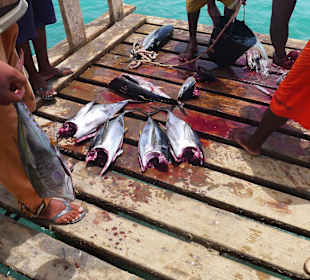 Fischten in Santa Maria