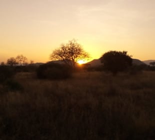 Sonnenuntergang im TSAVO WEST Nationalpark