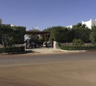 Stadtbesichtigung El Gouna