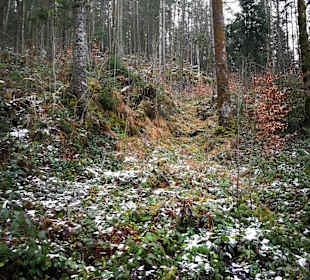 Wandern Schönau am Königssee