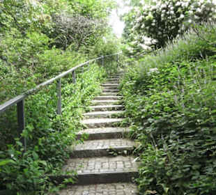 FIFA World Football Museum