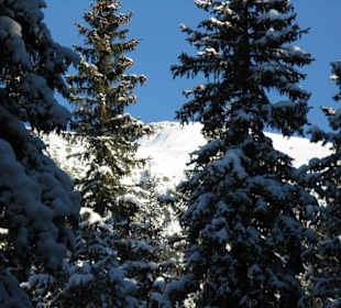 Popradské Pleso