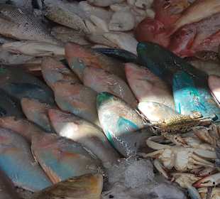 Einkaufen & Shopping