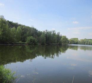 Altrhein bei Sondernheim