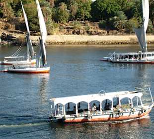 Blick vom botanischen Garten