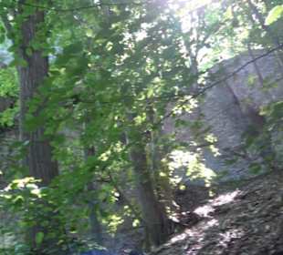 Premiumwanderweg "hochgelegen"