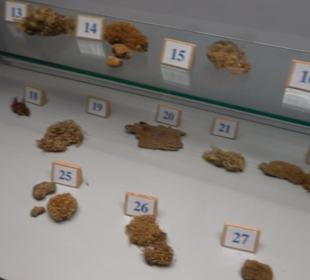 Natur- und Jagdmuseum