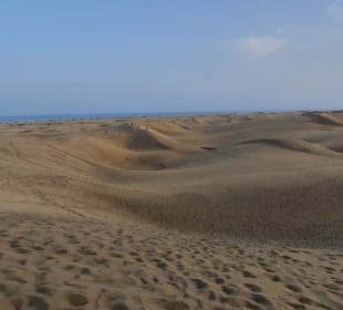 Stadtrundgang Playa del Ingles