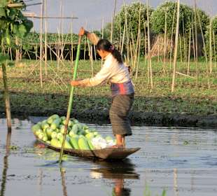 Das Boot ist randvoll mit Kürbissen
