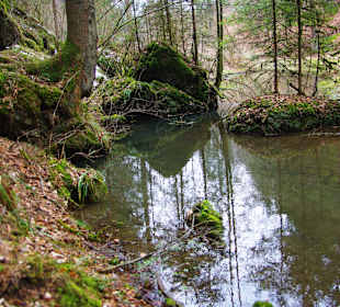 Wanderung nach Pottenstein