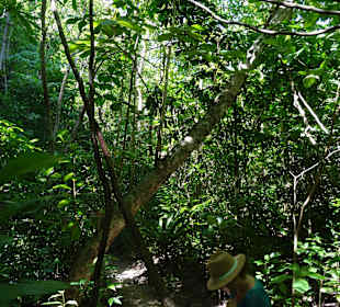 Mitten auf Hong Island