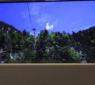 Heimatschutzzentrum in der Villa Patumbah