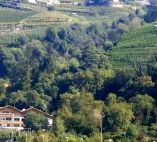 Wandergebiet Schennaberg