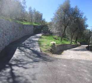 Weggabelung beim Aufstieg: rechts halten!