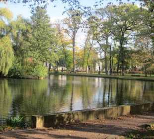 Schwanenweiher Kandel