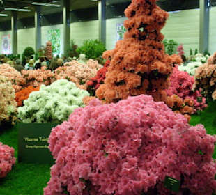 Wunderschöne Blumenanlage