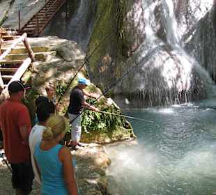 Forellenangeln und dann frisch auf den Tisch