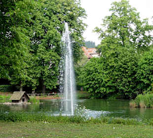 Impressionen aus dem Kurpark
