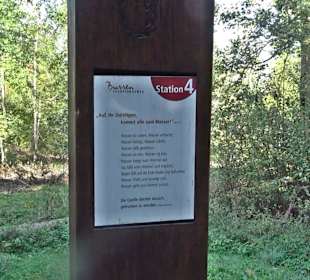 Bussen Schöpfungsweg Offingen