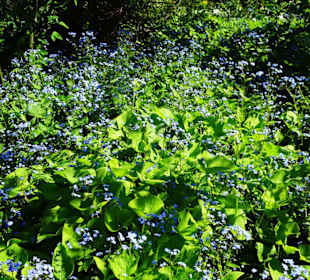Eindrücke vom Spaziergang durch den Stadtpark