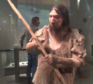 Neanderthal Museum
