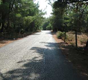 Weg nach Teos- Links Grillplatz