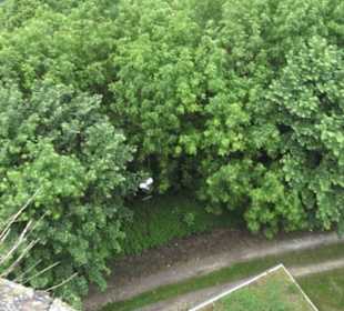 Burgruine Hohenneuffen