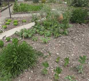 Alter botanischer Garten