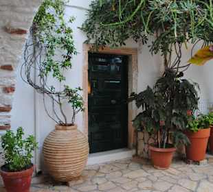 Kübelpflanzen wo man nur hinschaut