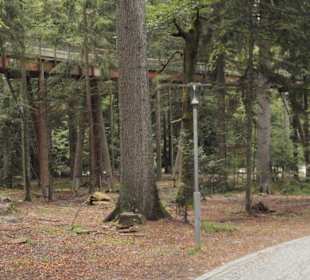 Pfad von Weg aus