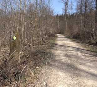 Premiumwanderweg "hochgeblickt"