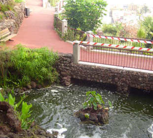 Viele Wege führen durch den Park