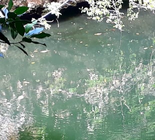 Mnarani Marine Schildkröten Conservation